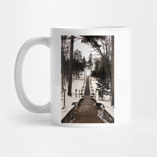 Gull Lake Winter Study 5 Mug